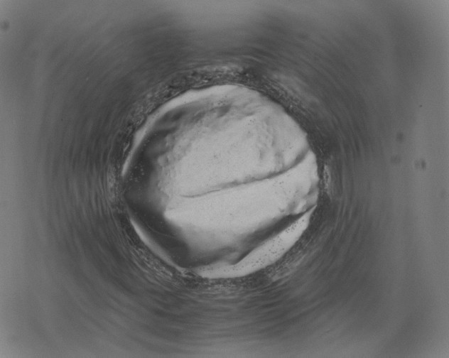 X0000071781395200607211545