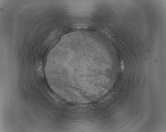 X0000071781396200607211545