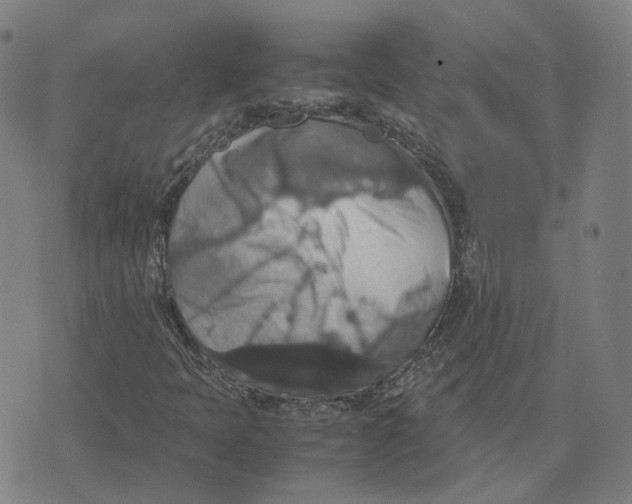 X0000071781397200607211545