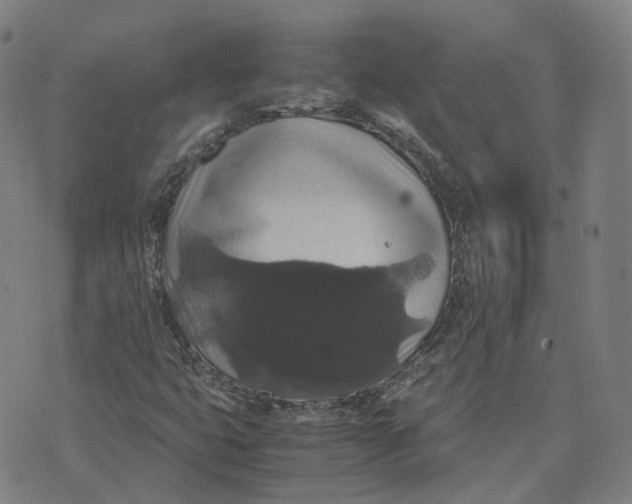 X0000071781399200607211545