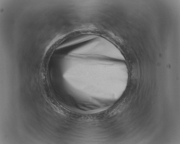 X0000071781400200607211545