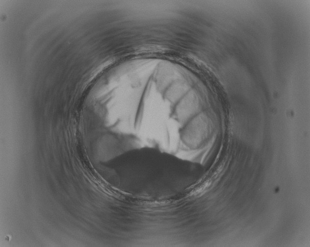 X0000071781401200607211545