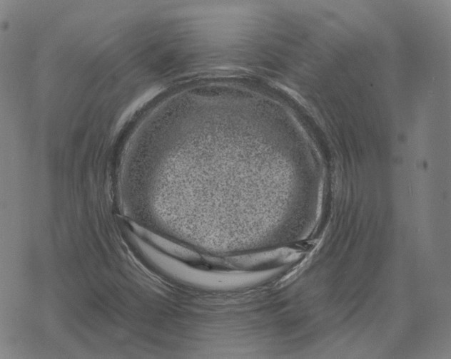 X0000071781402200607211545