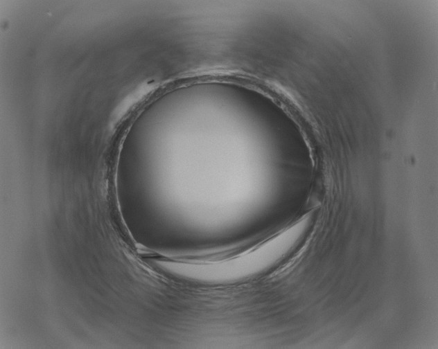 X0000071781406200607211545