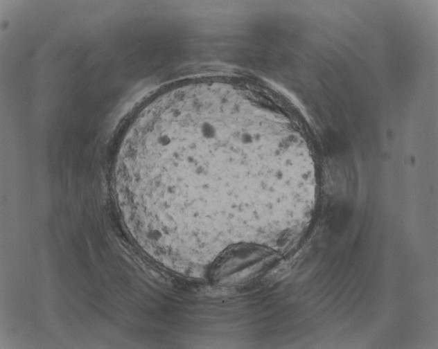 X0000071781407200607211545