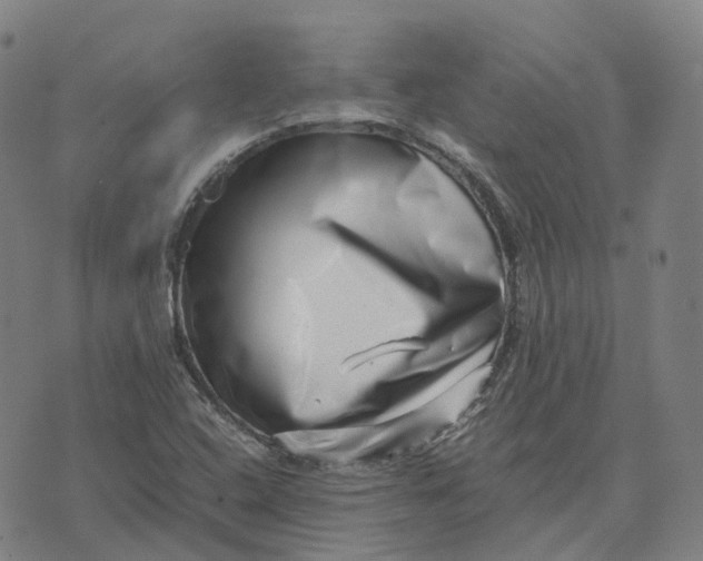 X0000071781408200607211545