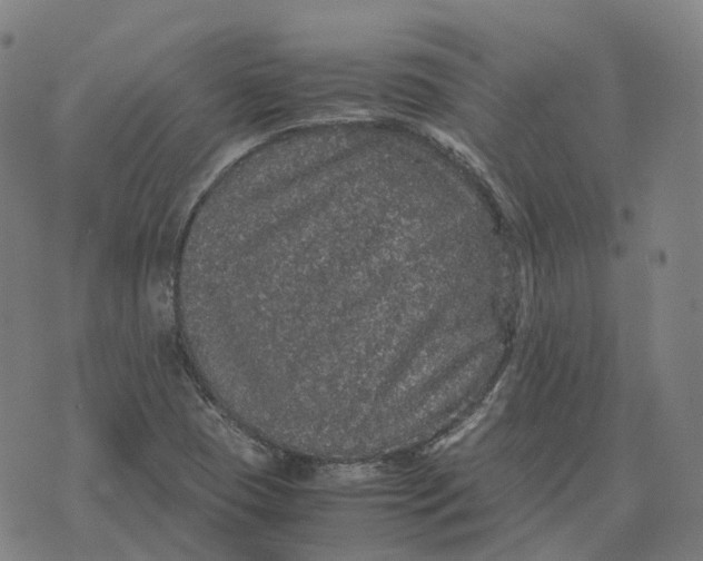 X0000071781409200607211545