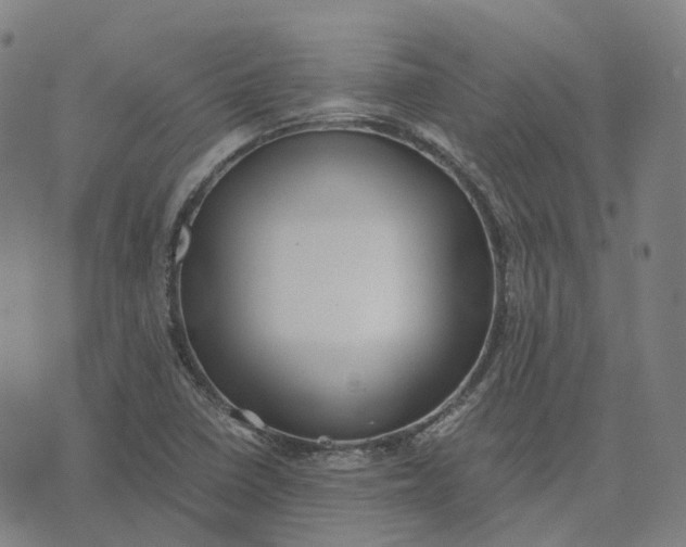 X0000071781410200607211545