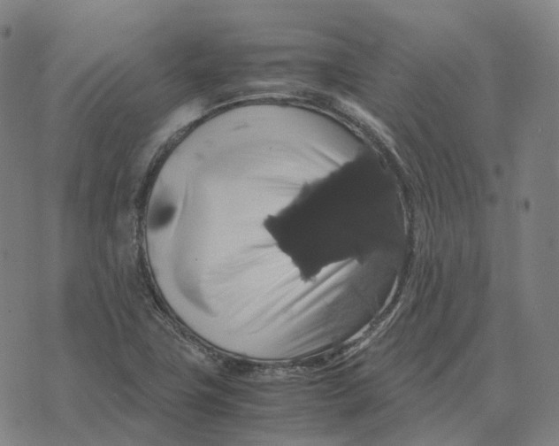 X0000071781411200607211545