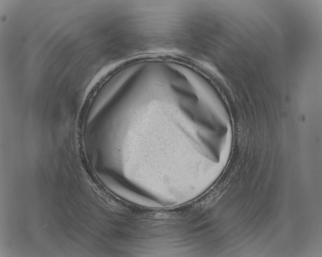 X0000071781412200607211545