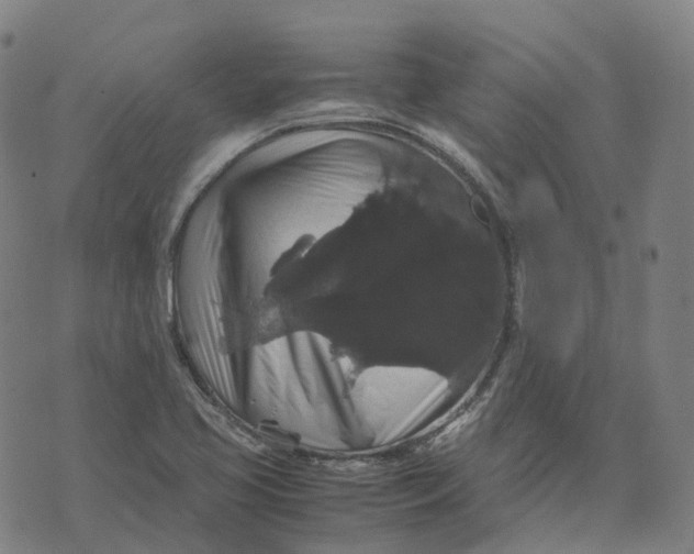 X0000071781413200607211545