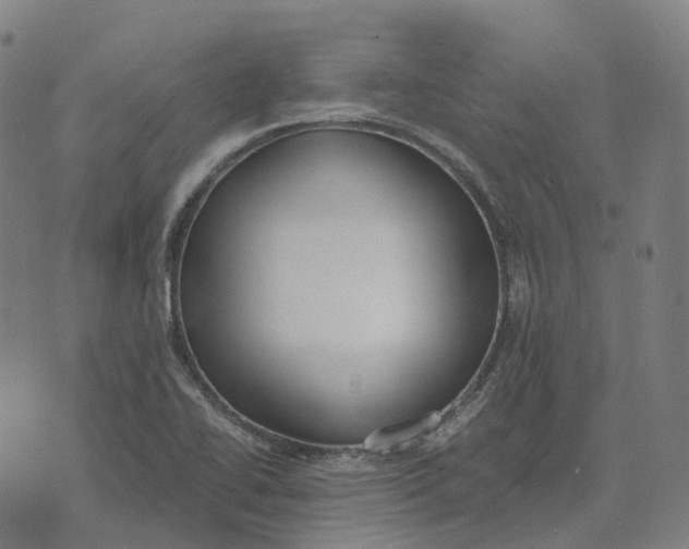 X0000071781414200607211545