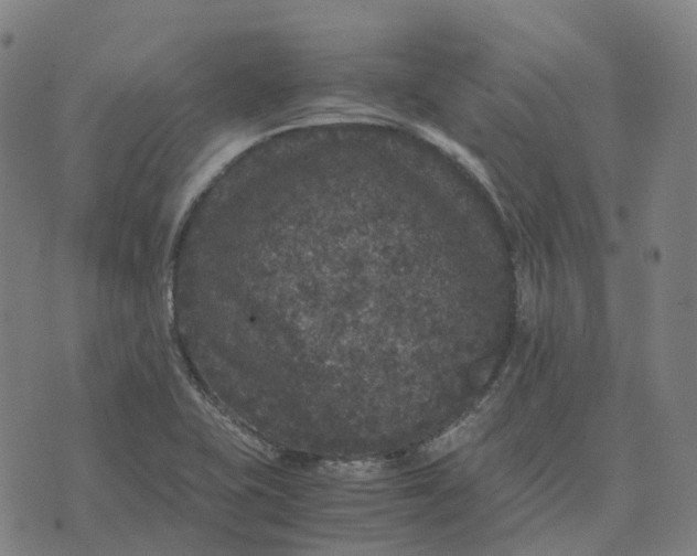 X0000071781415200607211545