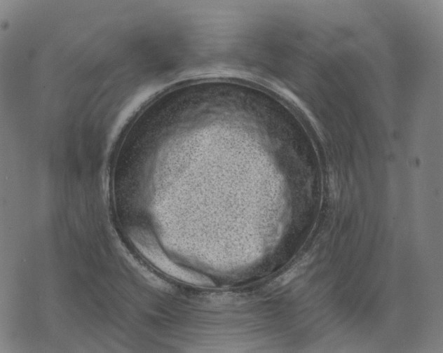 X0000071781416200607211545