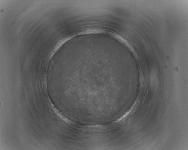 X0000071781417200607211545