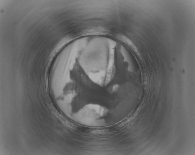 X0000071781419200607211545