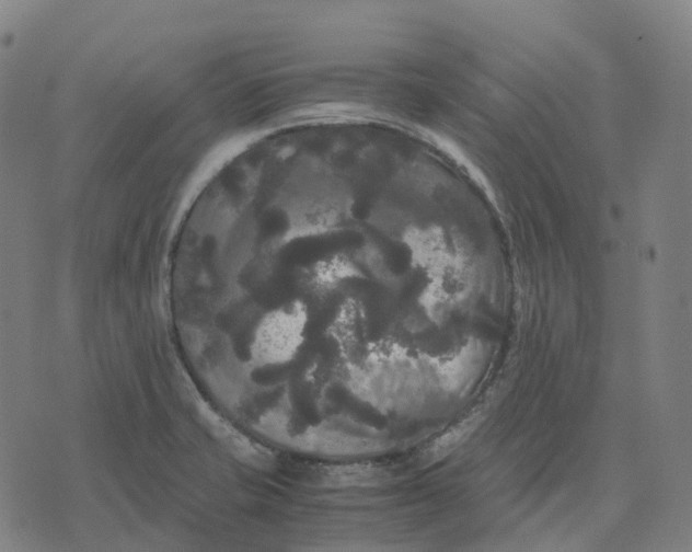 X0000071781421200607211545