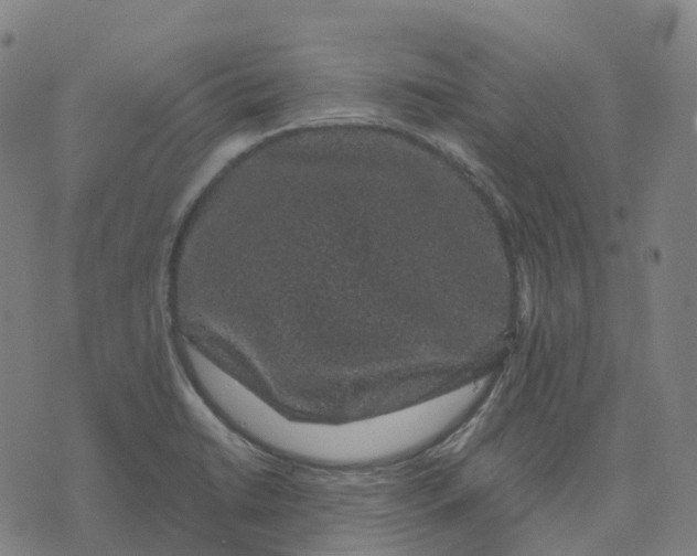 X0000071781422200607211545