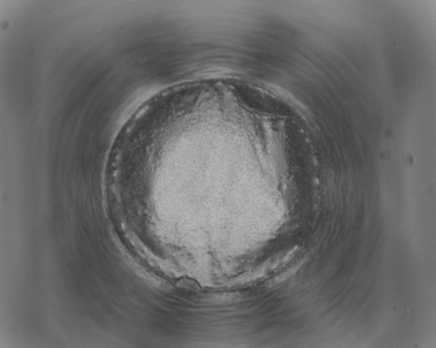 X0000071781423200607211545