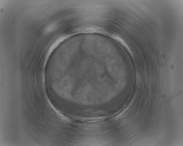 X0000071781424200607211546