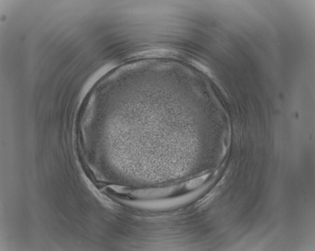 X0000071781426200607211546