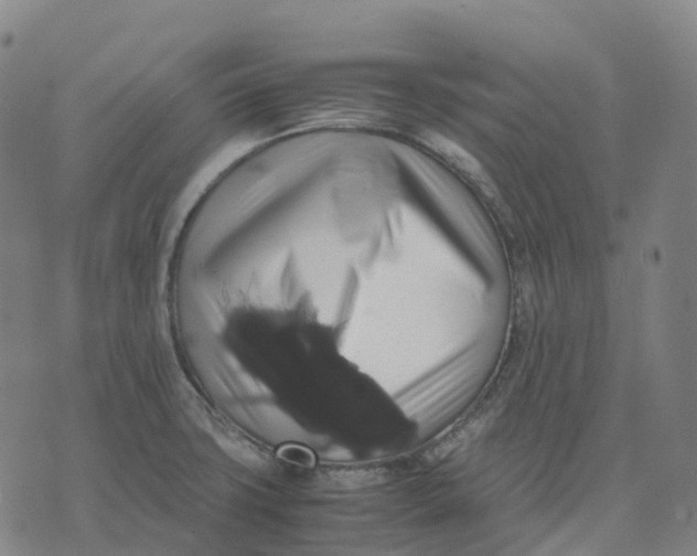 X0000071781427200607211546