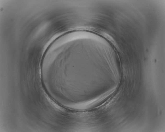 X0000071781428200607211546