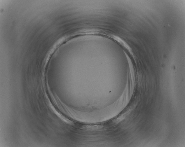 X0000071781429200607211546