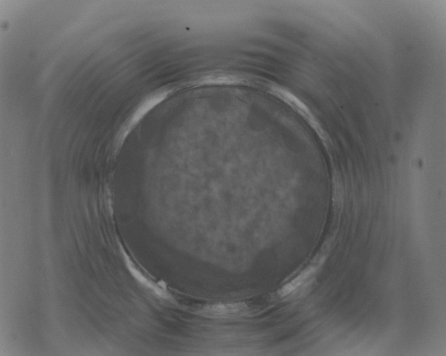 X0000071781433200607211546