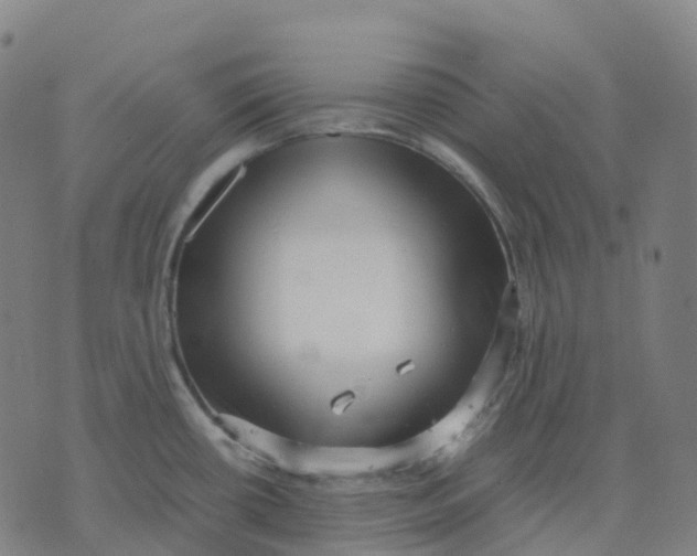 X0000071781434200607211546