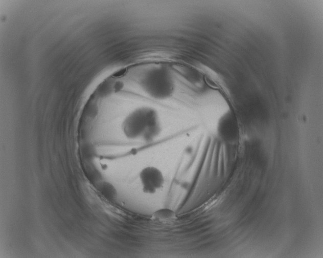 X0000071781435200607211546