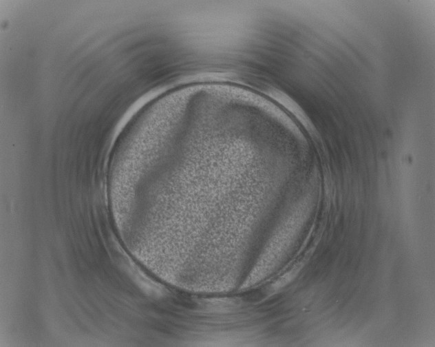 X0000071781436200607211546