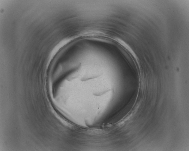 X0000071781437200607211546