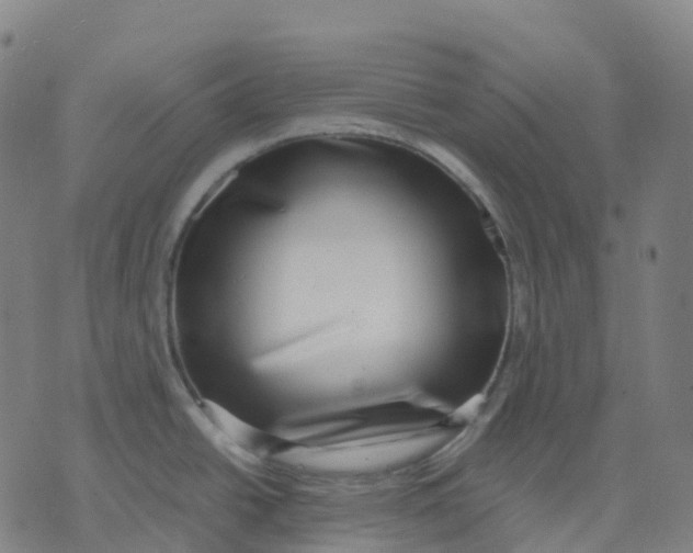 X0000071781438200607211546