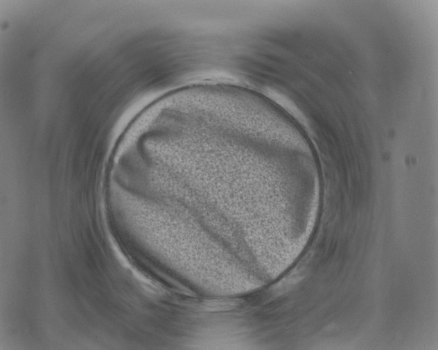 X0000071781440200607211546