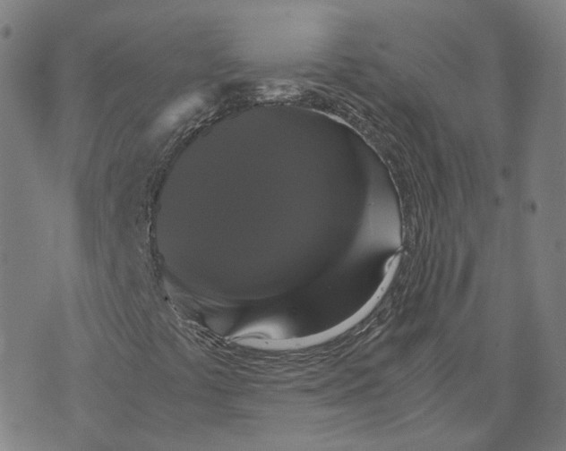 X0000071781441200607211545