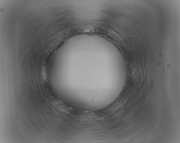 X0000071781442200607211545