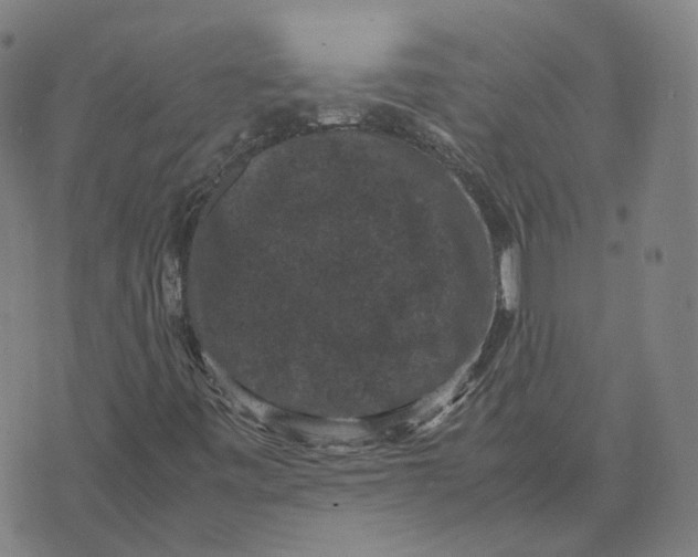 X0000071781443200607211545