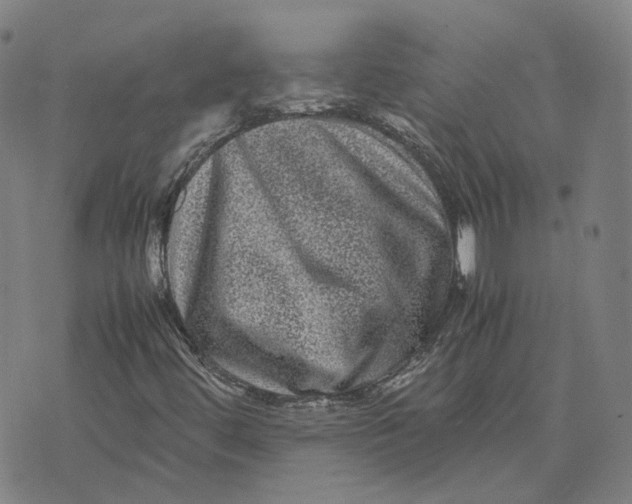 X0000071781444200607211545