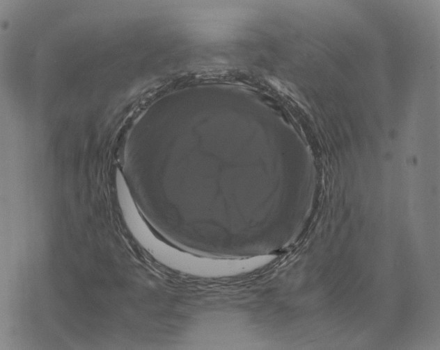 X0000071781445200607211545