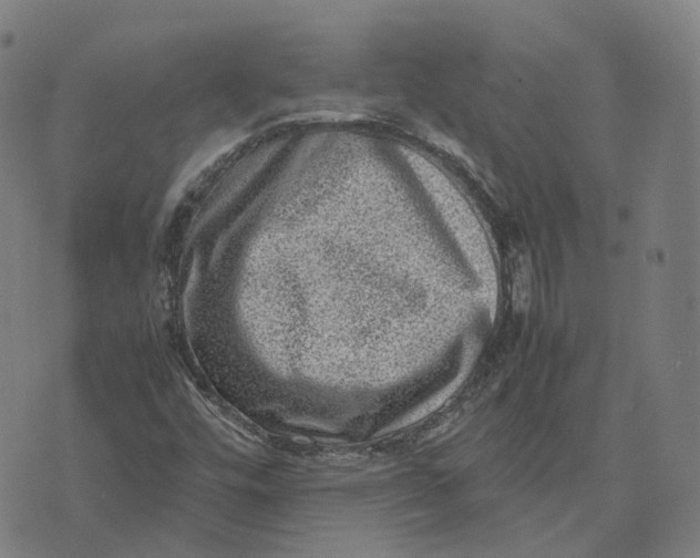 X0000071781448200607211545