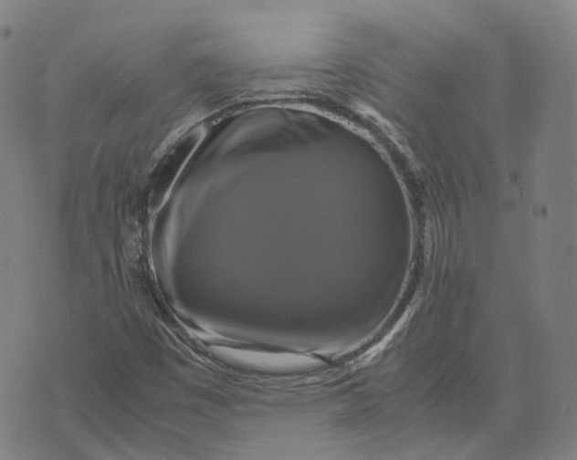 X0000071781449200607211545