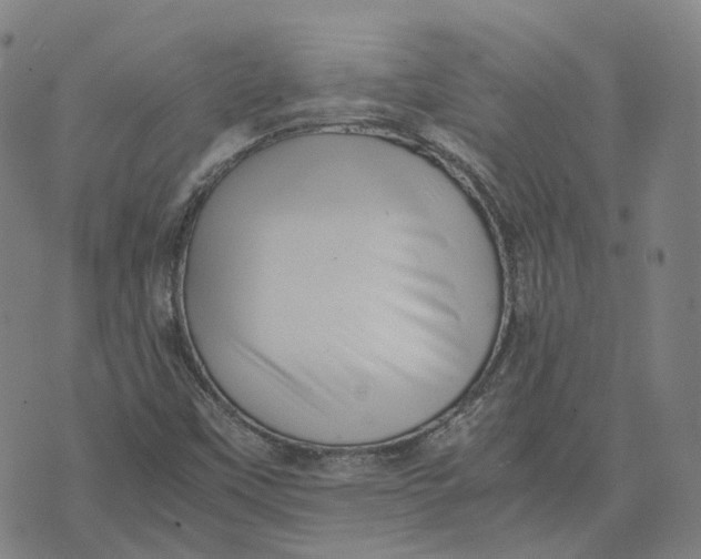 X0000071781451200607211545