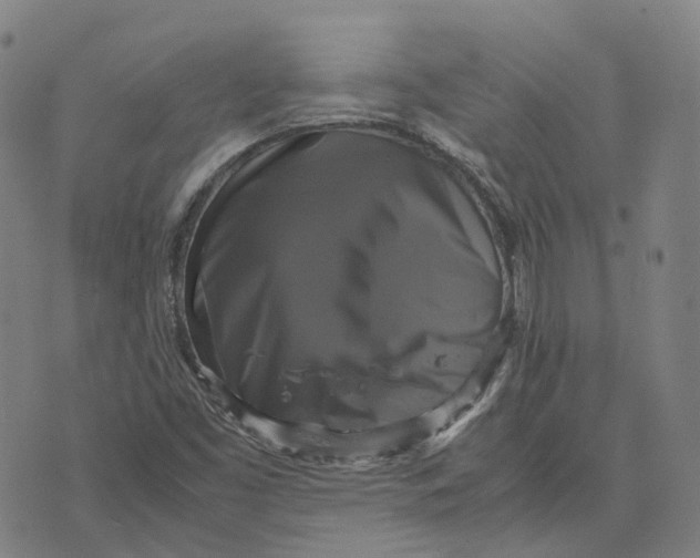 X0000071781453200607211545