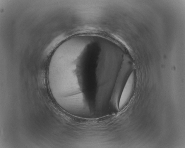 X0000071781455200607211545