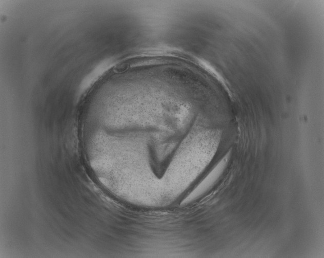 X0000071781456200607211545