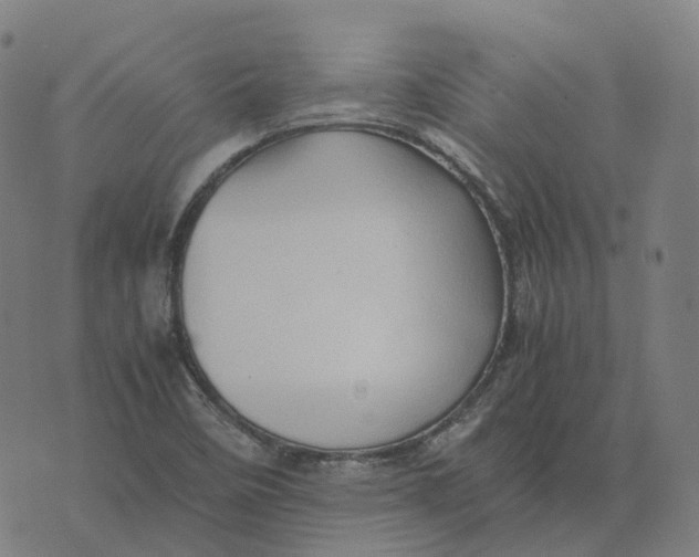 X0000071781458200607211545