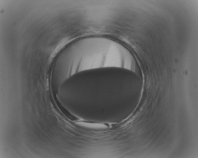 X0000071781459200607211545