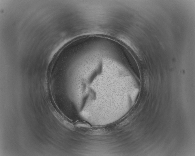 X0000071781460200607211545