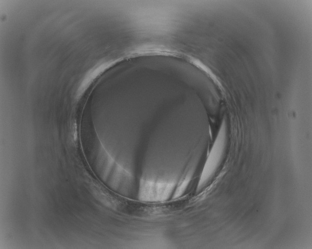 X0000071781461200607211545